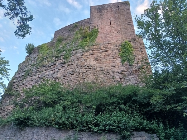 Kein Bier auf Burg Alt-Eberstein