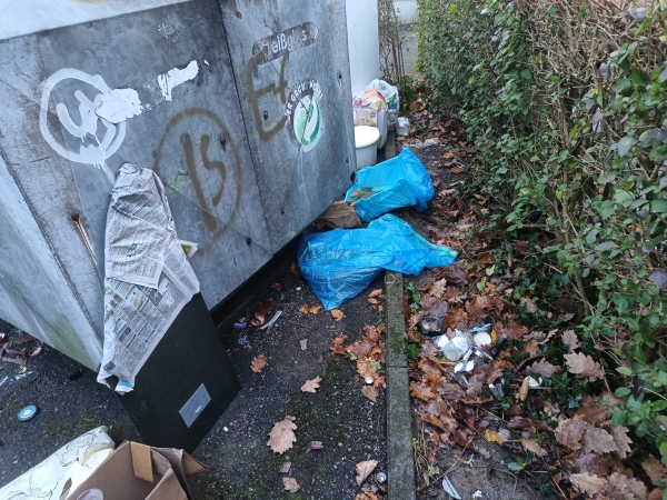 Müllablagerung bei Altglascontainern